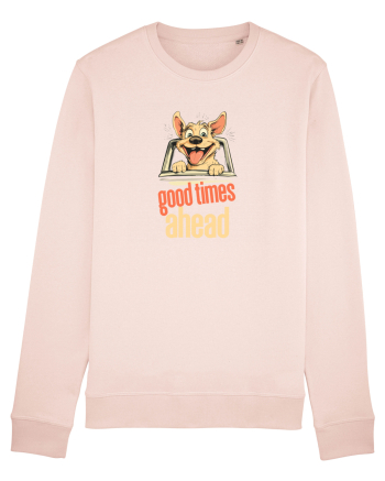 GOOD TIMES AHEAD - CAINE - SE ANUNTA DISTRACTIE Candy Pink