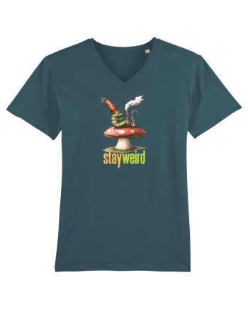 STAY WEIRD - Omida - Alice Stargazer