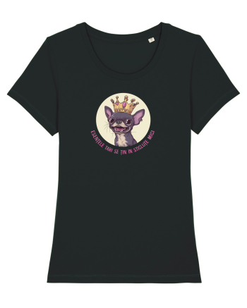 ESENTELE TARI SE TIN IN STICLUTE MICI - CHIHUAHUA 1 Black