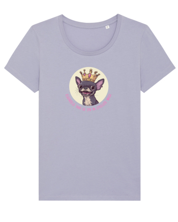 ESENTELE TARI SE TIN IN STICLUTE MICI - CHIHUAHUA 1 Lavender