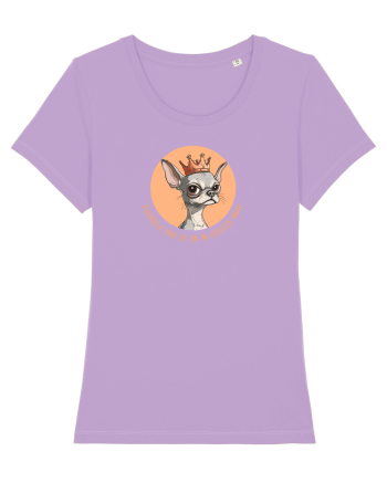 ESENTELE TARI SE TIN IN STICLUTE MICI - CHIHUAHUA 2 Lavender Dawn