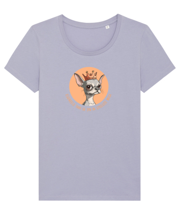ESENTELE TARI SE TIN IN STICLUTE MICI - CHIHUAHUA 2 Lavender