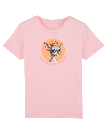 ESENTELE TARI SE TIN IN STICLUTE MICI - CHIHUAHUA 2 Cotton Pink