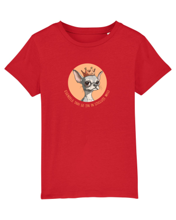 ESENTELE TARI SE TIN IN STICLUTE MICI - CHIHUAHUA 2 Red