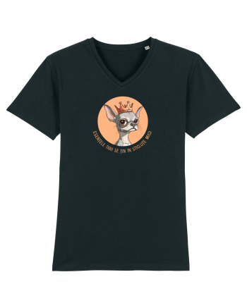 ESENTELE TARI SE TIN IN STICLUTE MICI - CHIHUAHUA 2 Black