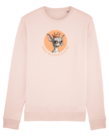 ESENTELE TARI SE TIN IN STICLUTE MICI - CHIHUAHUA 2 Candy Pink