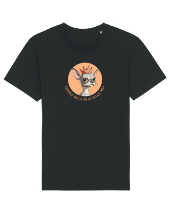 ESENTELE TARI SE TIN IN STICLUTE MICI - CHIHUAHUA 2 Black