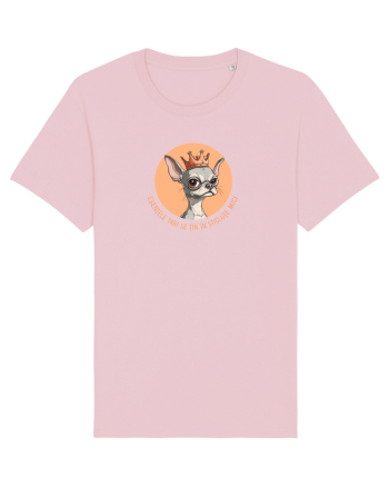 ESENTELE TARI SE TIN IN STICLUTE MICI - CHIHUAHUA 2 Cotton Pink
