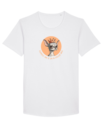 ESENTELE TARI SE TIN IN STICLUTE MICI - CHIHUAHUA 2 White