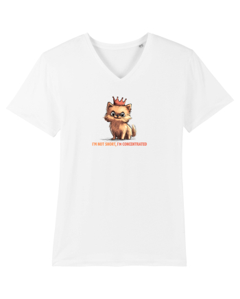 I`M NOT SHORT, I`M CONCENTRATED - POMERANIAN White