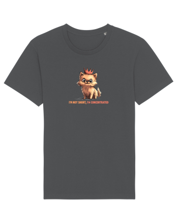 I`M NOT SHORT, I`M CONCENTRATED - POMERANIAN Anthracite