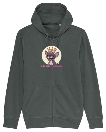 I`M NOT SHORT, I`M CONCENTRATED - CHIHUAHUA 2 Anthracite