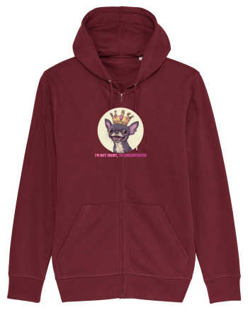 I`M NOT SHORT, I`M CONCENTRATED - CHIHUAHUA 2 Burgundy