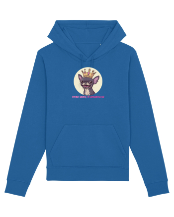 I`M NOT SHORT, I`M CONCENTRATED - CHIHUAHUA 2 Royal Blue