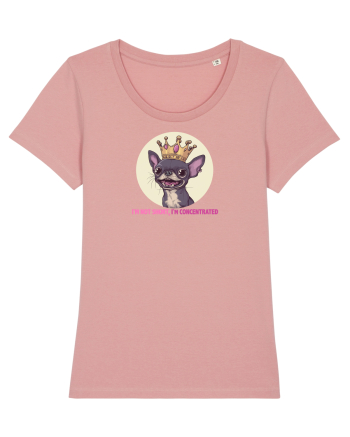 I`M NOT SHORT, I`M CONCENTRATED - CHIHUAHUA 2 Canyon Pink