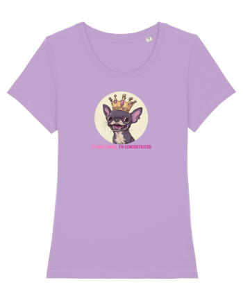 I`M NOT SHORT, I`M CONCENTRATED - CHIHUAHUA 2 Lavender Dawn