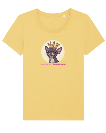 I`M NOT SHORT, I`M CONCENTRATED - CHIHUAHUA 2 Jojoba