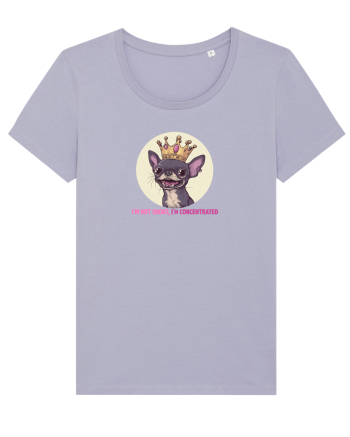 I`M NOT SHORT, I`M CONCENTRATED - CHIHUAHUA 2 Lavender