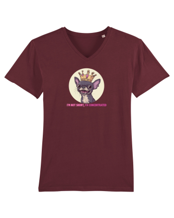 I`M NOT SHORT, I`M CONCENTRATED - CHIHUAHUA 2 Burgundy