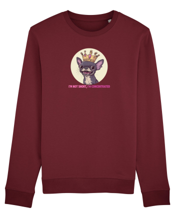 I`M NOT SHORT, I`M CONCENTRATED - CHIHUAHUA 2 Burgundy