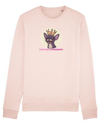 I`M NOT SHORT, I`M CONCENTRATED - CHIHUAHUA 2 Candy Pink