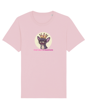 I`M NOT SHORT, I`M CONCENTRATED - CHIHUAHUA 2 Cotton Pink