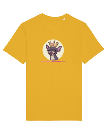 I`M NOT SHORT, I`M CONCENTRATED - CHIHUAHUA 2 Spectra Yellow