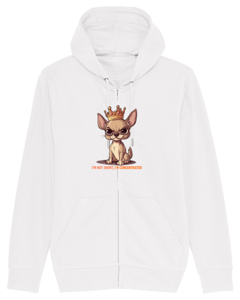 I`M NOT SHORT, I`M CONCENTRATED - CHIHUAHUA 3 White