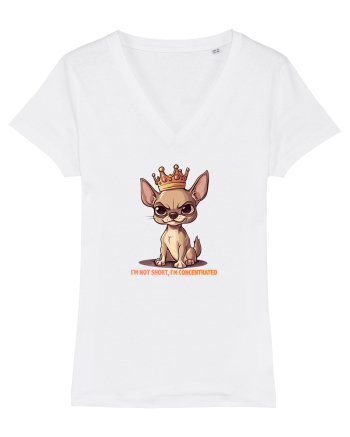 I`M NOT SHORT, I`M CONCENTRATED - CHIHUAHUA 3 White