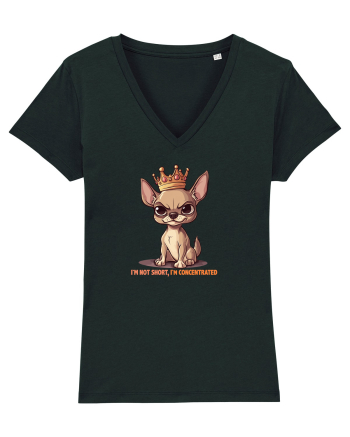 I`M NOT SHORT, I`M CONCENTRATED - CHIHUAHUA 3 Black