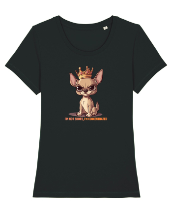 I`M NOT SHORT, I`M CONCENTRATED - CHIHUAHUA 3 Black
