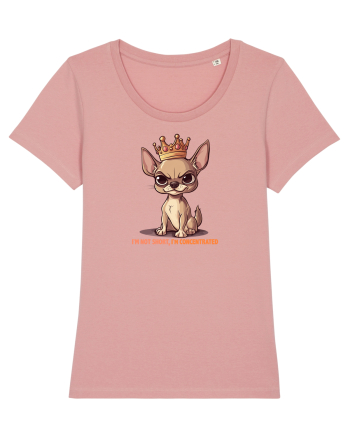 I`M NOT SHORT, I`M CONCENTRATED - CHIHUAHUA 3 Canyon Pink