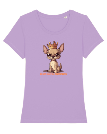 I`M NOT SHORT, I`M CONCENTRATED - CHIHUAHUA 3 Lavender Dawn
