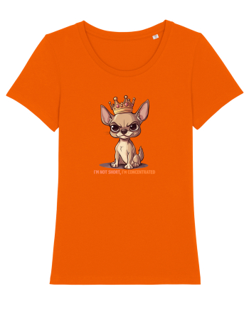 I`M NOT SHORT, I`M CONCENTRATED - CHIHUAHUA 3 Bright Orange