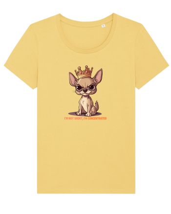 I`M NOT SHORT, I`M CONCENTRATED - CHIHUAHUA 3 Jojoba