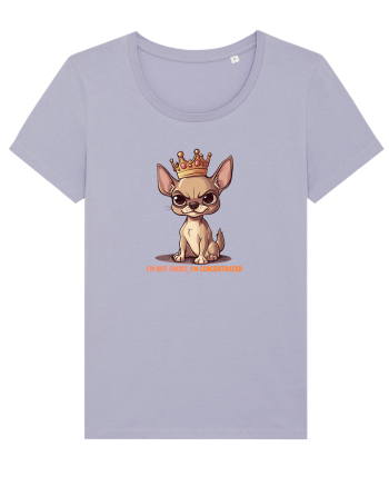 I`M NOT SHORT, I`M CONCENTRATED - CHIHUAHUA 3 Lavender