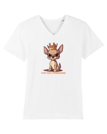 I`M NOT SHORT, I`M CONCENTRATED - CHIHUAHUA 3 White