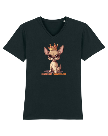 I`M NOT SHORT, I`M CONCENTRATED - CHIHUAHUA 3 Black