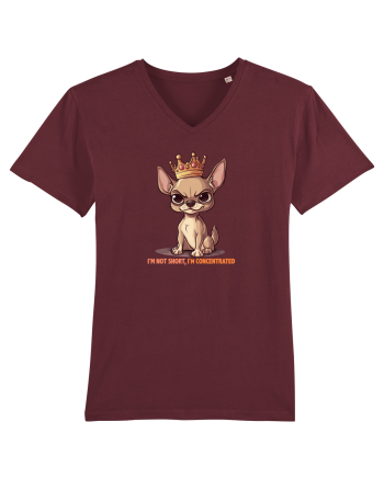 I`M NOT SHORT, I`M CONCENTRATED - CHIHUAHUA 3 Burgundy