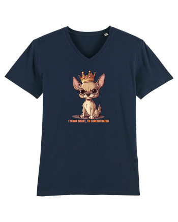 I`M NOT SHORT, I`M CONCENTRATED - CHIHUAHUA 3 French Navy