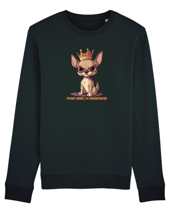 I`M NOT SHORT, I`M CONCENTRATED - CHIHUAHUA 3 Black