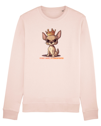 I`M NOT SHORT, I`M CONCENTRATED - CHIHUAHUA 3 Candy Pink