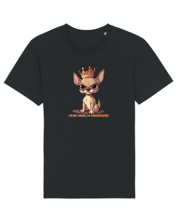 I`M NOT SHORT, I`M CONCENTRATED - CHIHUAHUA 3 Black