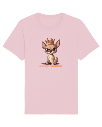 I`M NOT SHORT, I`M CONCENTRATED - CHIHUAHUA 3 Cotton Pink
