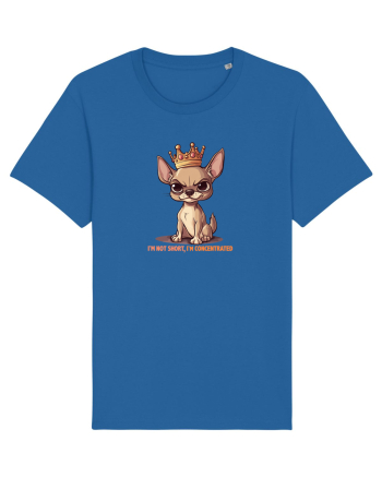 I`M NOT SHORT, I`M CONCENTRATED - CHIHUAHUA 3 Royal Blue