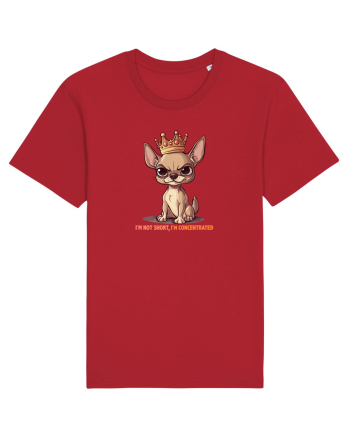 I`M NOT SHORT, I`M CONCENTRATED - CHIHUAHUA 3 Red
