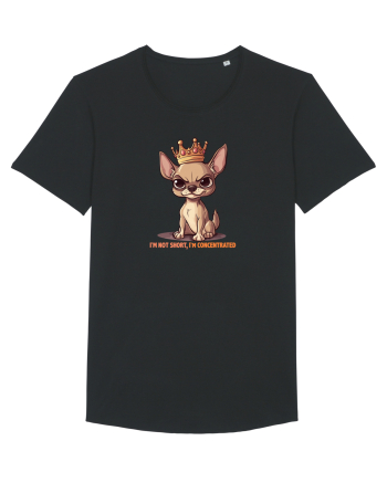I`M NOT SHORT, I`M CONCENTRATED - CHIHUAHUA 3 Black