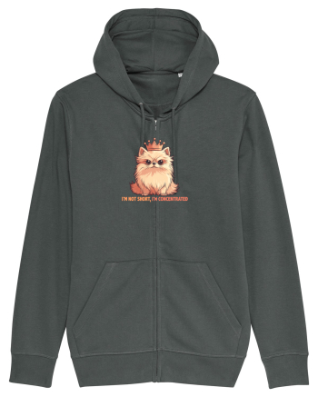I`M NOT SHORT, I`M CONCENTRATED - POMERANIAN 2 Anthracite