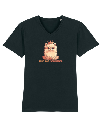 I`M NOT SHORT, I`M CONCENTRATED - POMERANIAN 2 Black