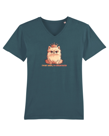 I`M NOT SHORT, I`M CONCENTRATED - POMERANIAN 2 Stargazer
